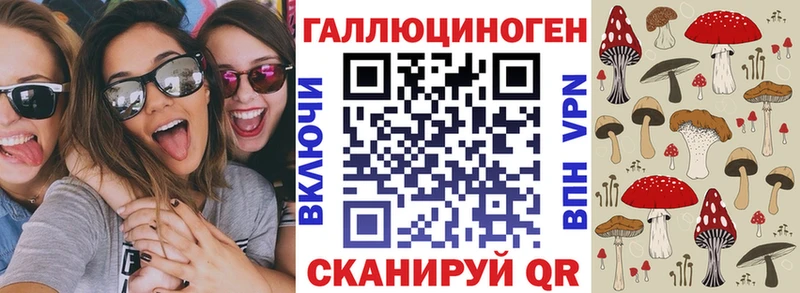 Галлюциногенные грибы Psilocybe  купить закладку  Мензелинск 
